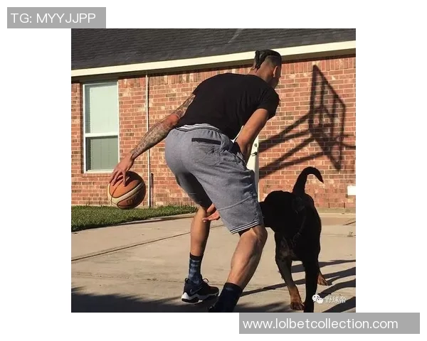 杨晨与姚明的传奇篮球之路：从青春岁月到国际舞台的辉煌成就